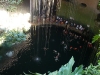 cenote-ikkil-02