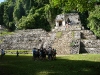palenque-08