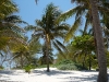 tulum-19-playasantafe